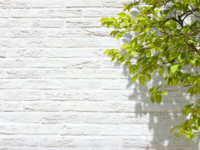 相性の良い外壁の色による組み合わせ