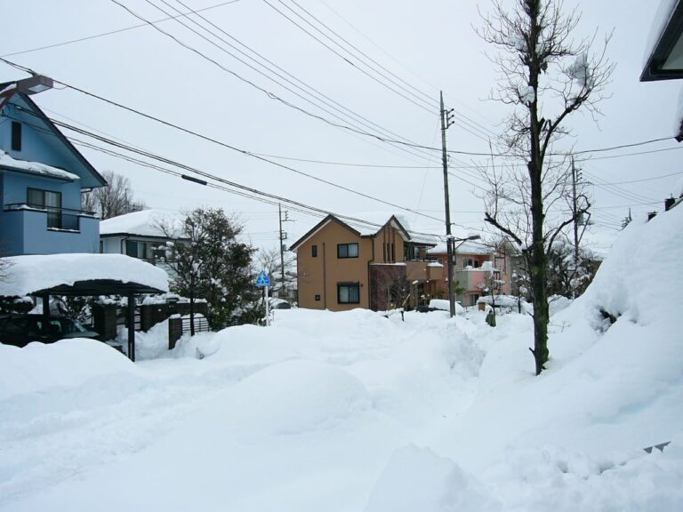 「10年に一度」はもう当たり前？災害に備えて…北海道＆沖縄の家づくりに見る「寒さ対策」と「暑さ対策」のリフォームとは